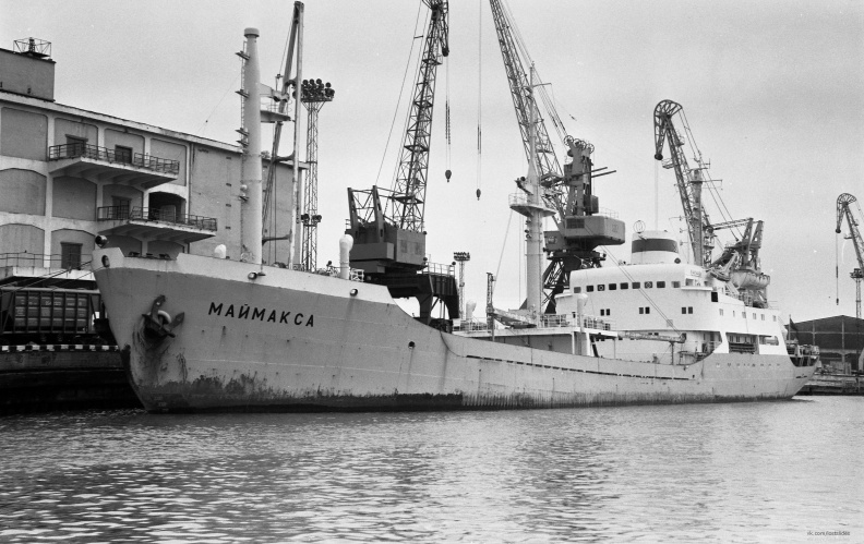 Маймакса.jpg