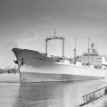 Остров Сибирякова 6