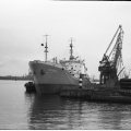 Паромай
