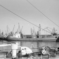 Партизанская слава4