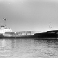 Сестрорецк 4
